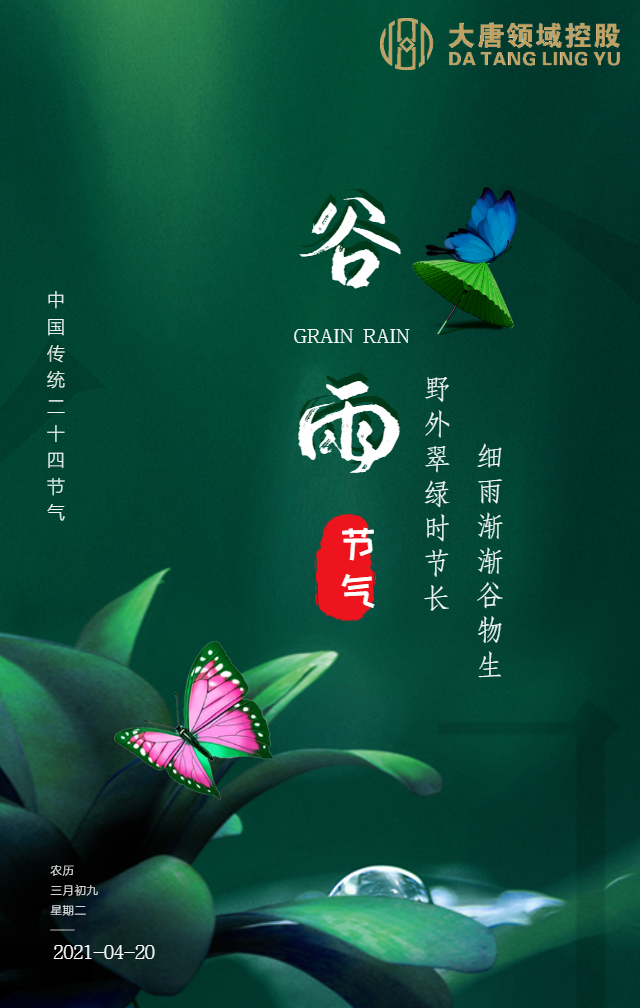 谷雨--大唐领域控股.png