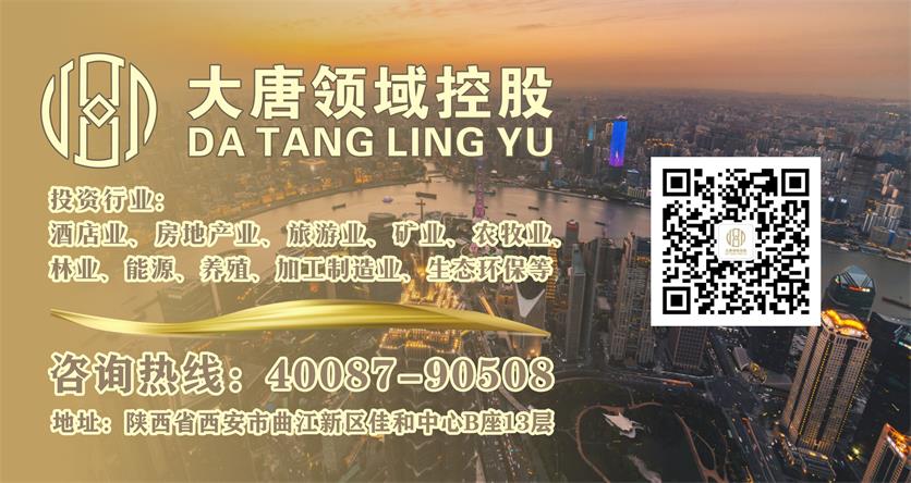 1640746239115247.jpg 备份备份大唐领域微信图b.jpg