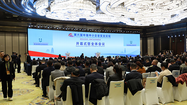 1764065795604053.jpg 009(小).jpg