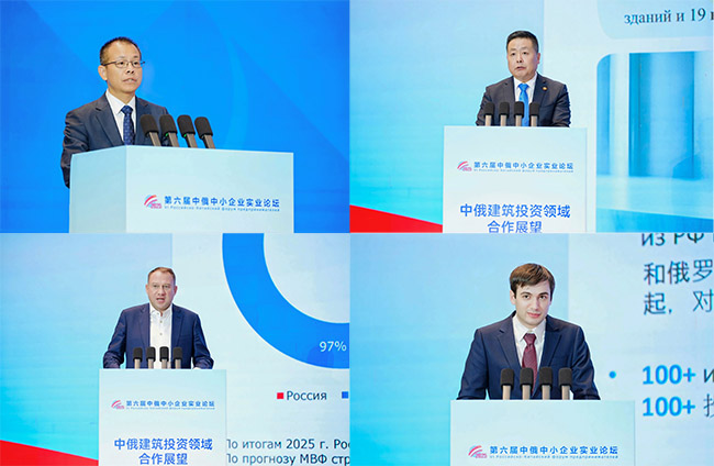 1764143945285786.jpg 拼(3).jpg